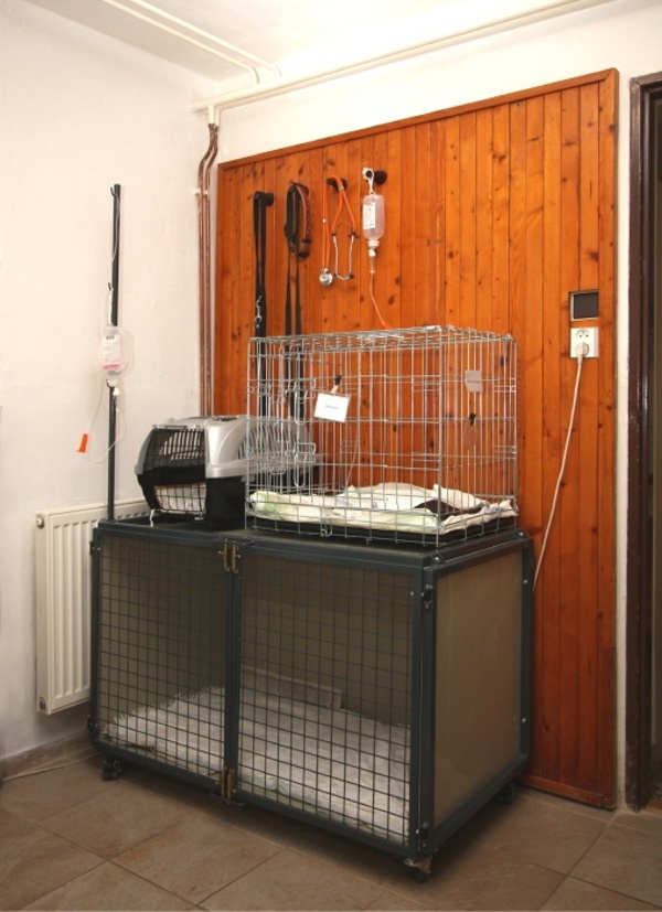 Veterinrn ordinace Boskovet - mstnost pro hospitalizaci